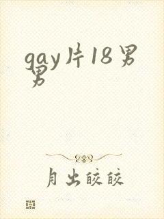 gay片18男男