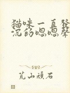 猫咪一直发出低沉的嗯嗯声