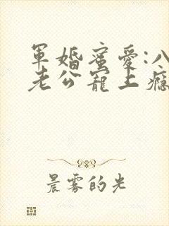 军婚蜜爱:八零老公宠上瘾 小说完整