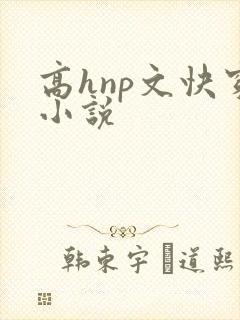 高hnp文快穿小说