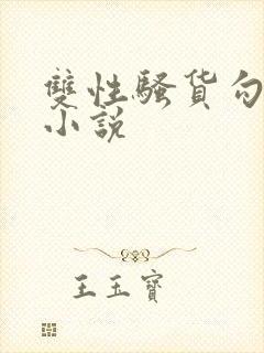 双性骚货勾引人小说封面