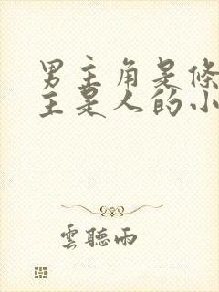 男主角是条龙女主是人的小说