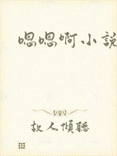 嗯嗯啊小说高h封面