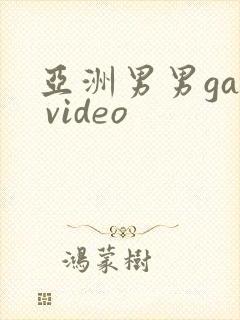 亚洲男男gay video