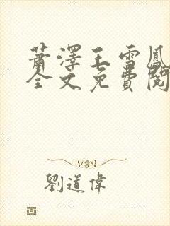 萧泽王雪凤小说全文免费阅读封面