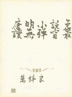 唐明小说免费阅读无弹窗最新章节下载