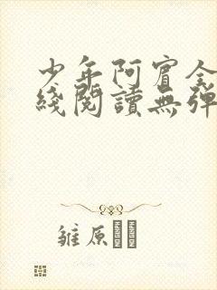 少年阿宾全文在线阅读无弹窗