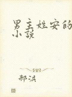 男主姓安的总裁小说封面