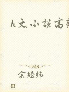 h文小说高辣文