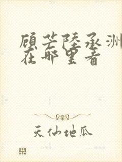 顾芒陆承洲小说在哪里看