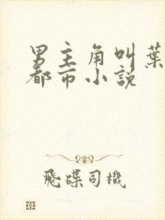 男主角叫叶楚的都市小说