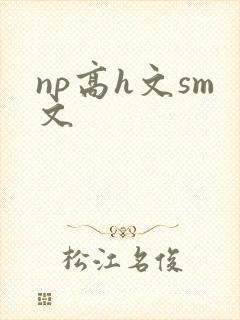 np高h文sm文