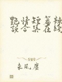 艳情短篇辣文小说合集在线阅读