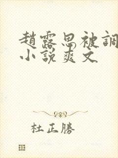 赵露思被调教h小说爽文