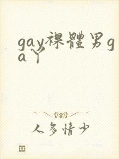 gay裸体男ga丫
