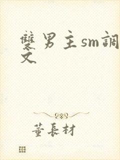 双男主sm调教文