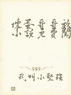 坏蛋哥哥放了我小说免费阅读