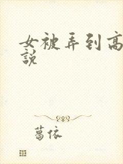 女被弄到高潮小说