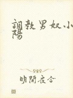 调教男奴小说虐阳