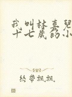 我叫林喜儿今年十七岁的小说在线阅读