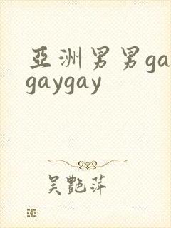 亚洲男男gaygaygay