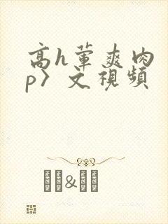 高h荤爽肉〈np〉文视频