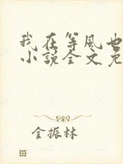 我在等风也等你小说全文免费阅读封面