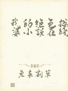 我的绝色总裁老婆小说在线阅读