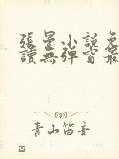 张曼小说免费阅读无弹窗最新章节封面