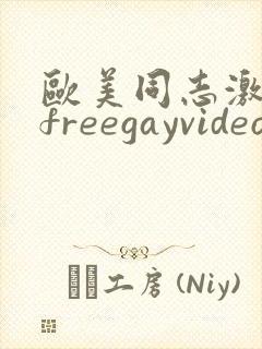 欧美同志激情男freegayvideos