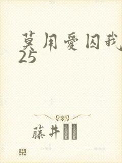 莫用爱囚我完结25