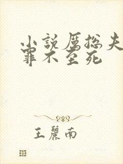 小说厉总夫人她罪不至死