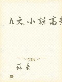 h文小说高辣文
