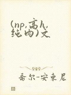 (np,高h,纯肉)文