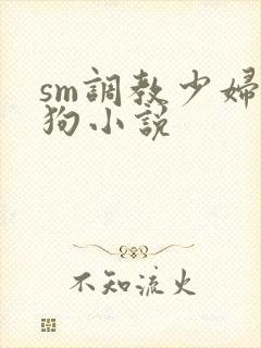 sm调教少妇母狗小说