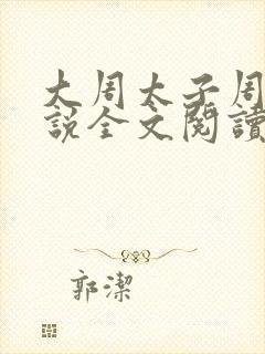 大周太子周铮小说全文阅读无弹窗