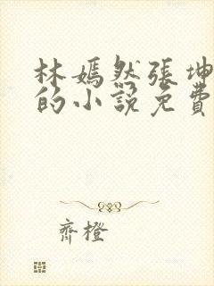 林嫣然张坤高强的小说免费阅读封面