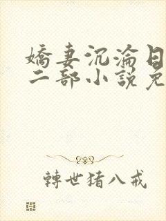 娇妻沉沦日记第二部小说免费阅读封面
