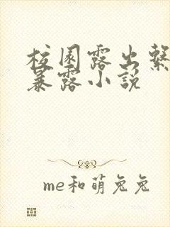 校园露出系列h暴露小说