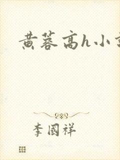 黄蓉高h小说