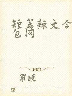 短篇辣文合集书包网