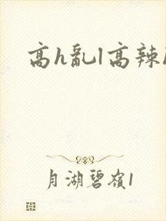 高h乱l高辣h