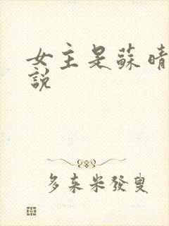 女主是苏晴的小说