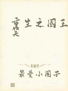 重生之国王的微笑