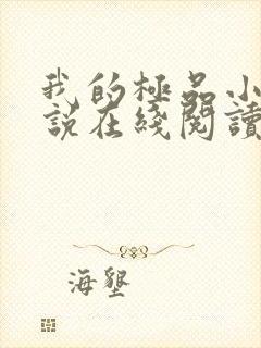 我的极品小姨小说在线阅读全文封面