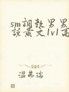 sm调教男男小说黄文1v1高h强制封面