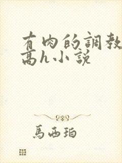 有肉的调教np高h小说