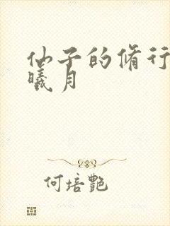 仙子的修行 萧曦月封面