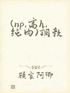 (np,高h,纯肉)调教