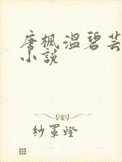 唐枫温碧芸林姨小说